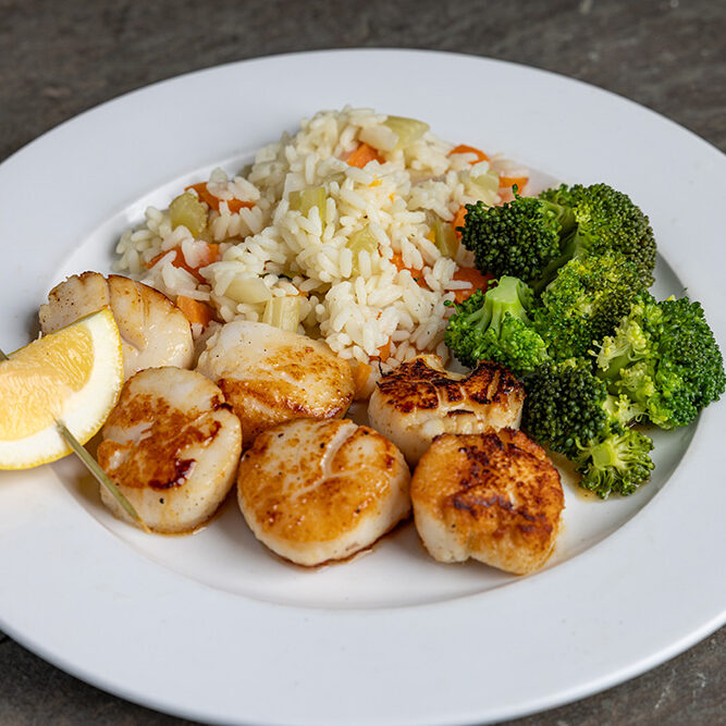 Deep Sea Scallops